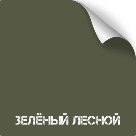 Краска NK СУПЕРМАТ, зеленый лесной, баллон 350 мл